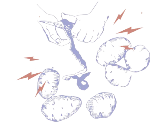 Potato illustration